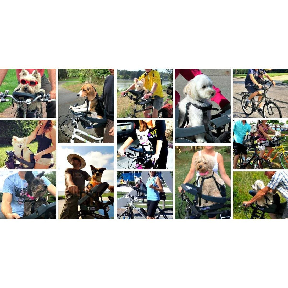 Buddyrider Series 2 Dog Bicycle Seat | Dog Bike Seat For Dogs Up To 25 ...