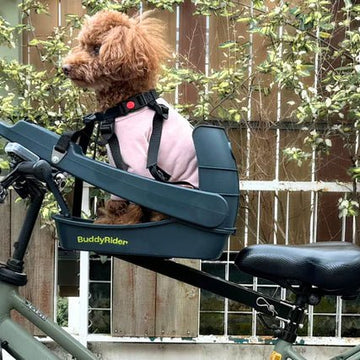 hundeanhänger sattelstütze Buddyrider Series 2 Dog Bicycle Seat