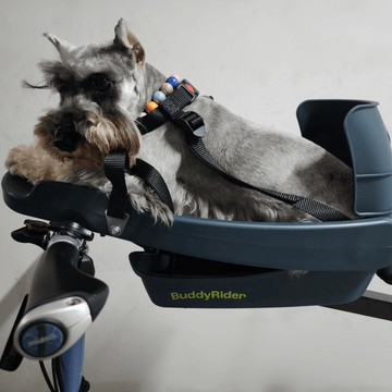 Buddyrider Series 2 Dog Bicycle Seat Dog Bike Seat For Dogs Up To 25 lbs. The Dog Outdoors