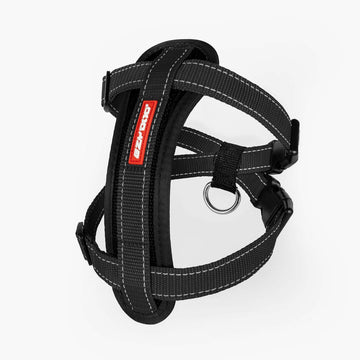 EzyDog Padded Chest Harness – The Dog Outdoors