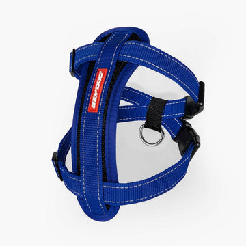 EzyDog Padded Chest Harness – The Dog Outdoors - Main Image