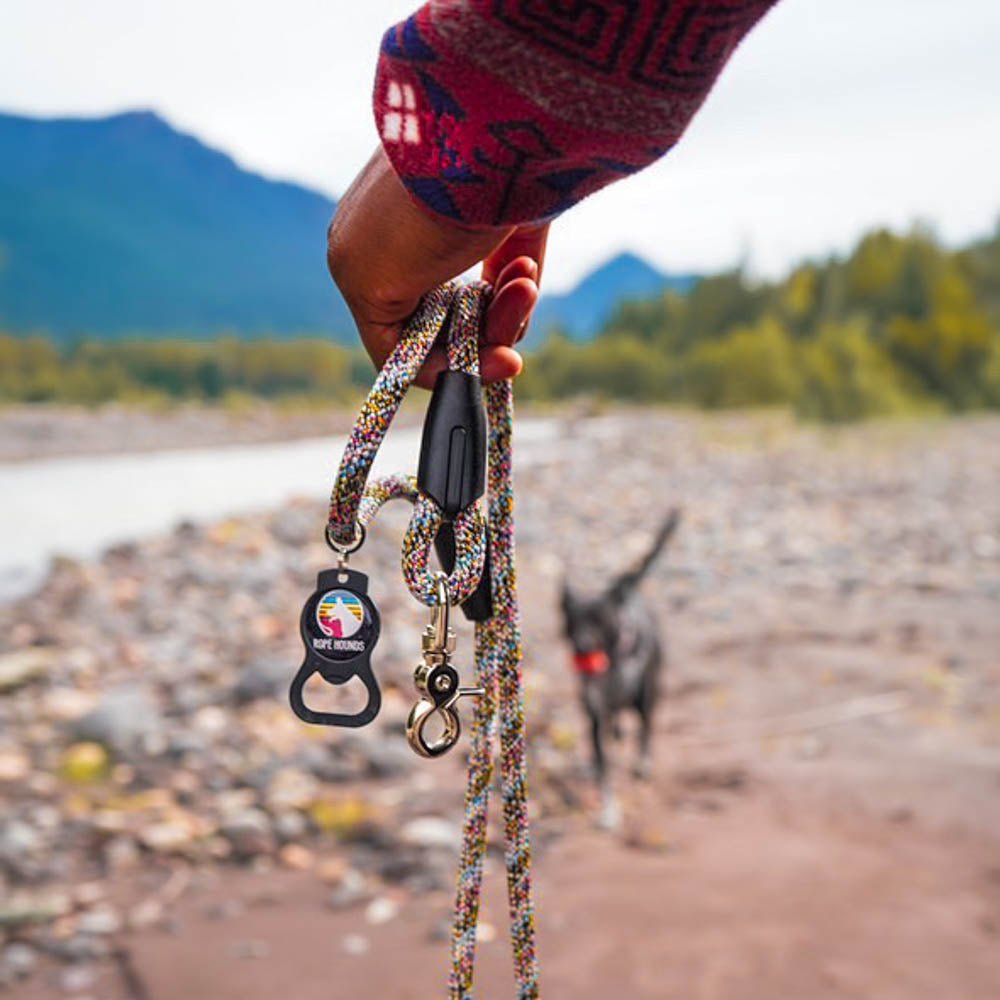 Classic Climbing Rope Dog Leash - Neutrals