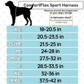How to Size a Dog Harness: Perfect Fit Every Time