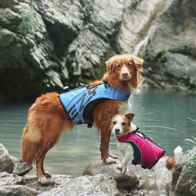 EZYDOG DFD X2 BOOST レッド Sサイズ Dog Life Jackets | Our Latest Swim Vest for Dogs