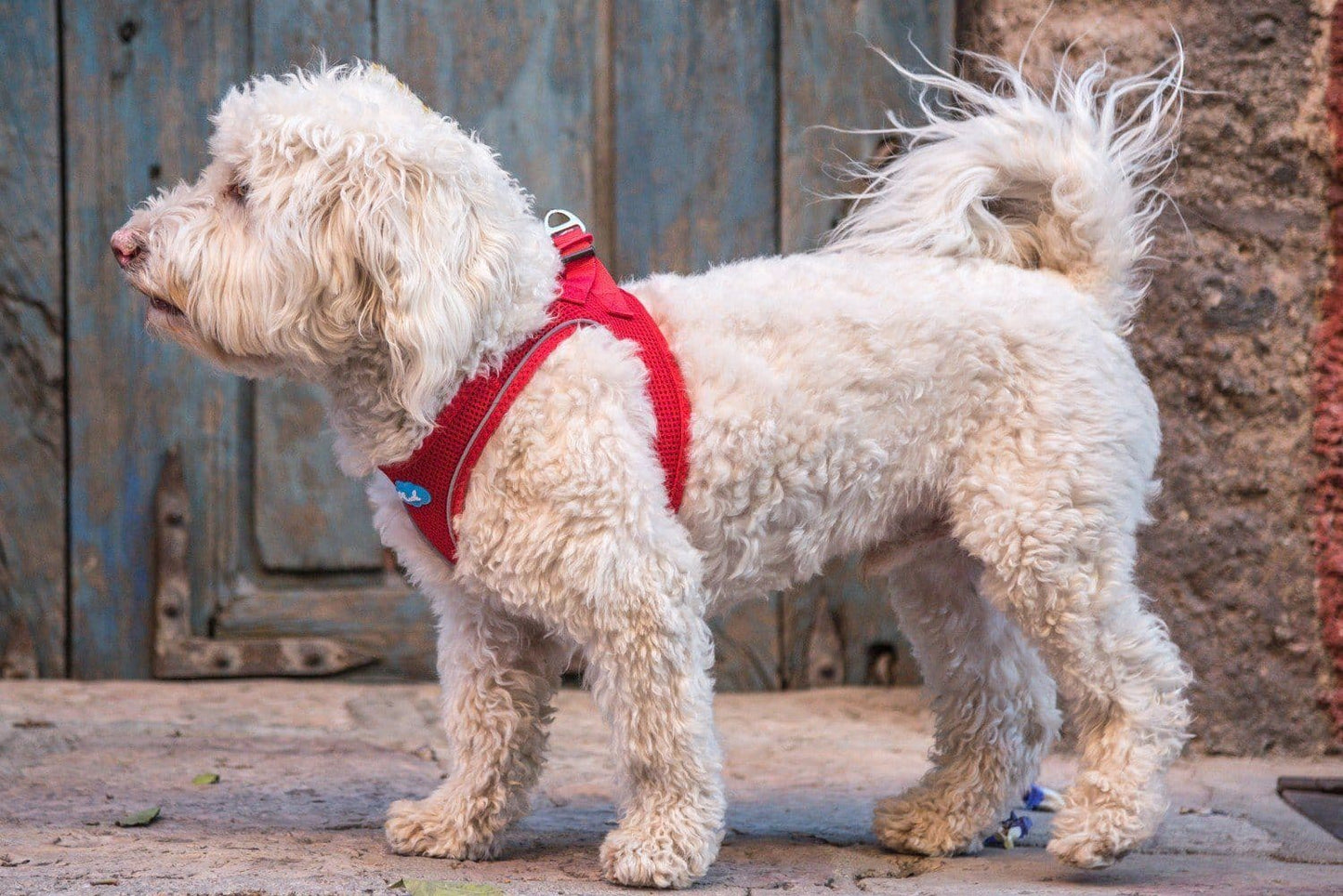 Plush Step In Air Mesh Harness - Red