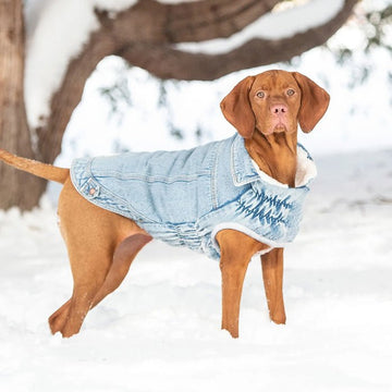 GF PET® Light Wash Denim Dog Jacket Sherpa-Lined Winter Jean Dog