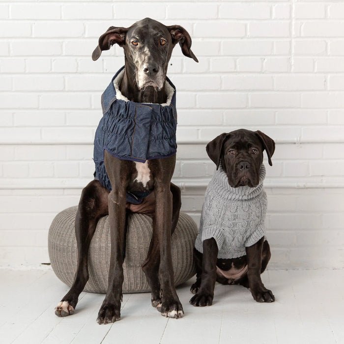 Sherpa-lined dog jeans jacket – GF PET dark wash denim coat