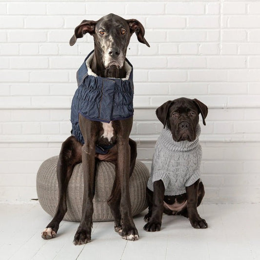 Sherpa-lined dog jeans jacket – GF PET dark wash denim coat