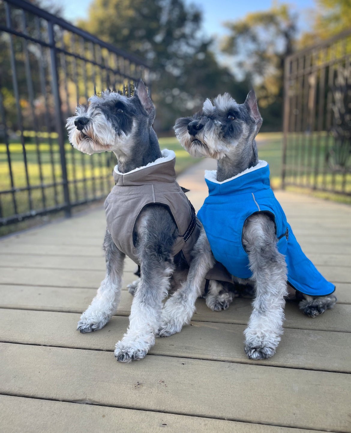 Alpine Tuf Terrain Canvas Dog Winter Coat – Durable Rip-Resistant