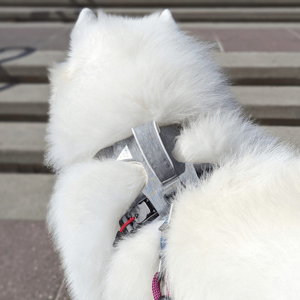 Magnetic Clip Dog Harness – Best for Arthritic Hands, One-Hand Clip, Padded No-Pull Design