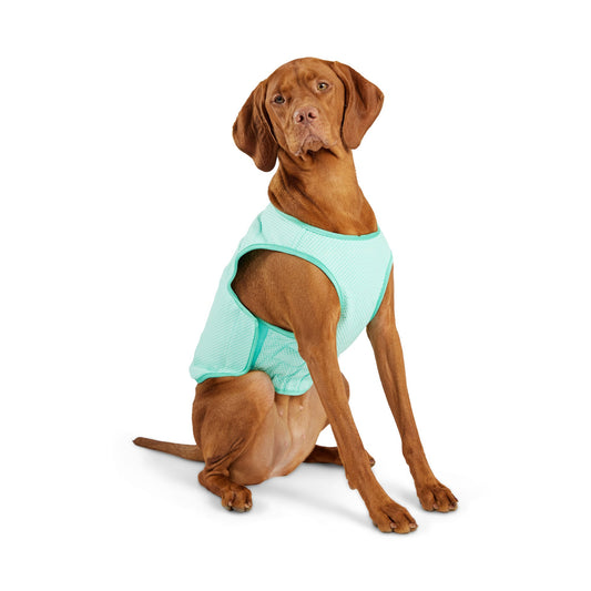 Elasto-Fit Dog Cooling Ice Vest - Aqua