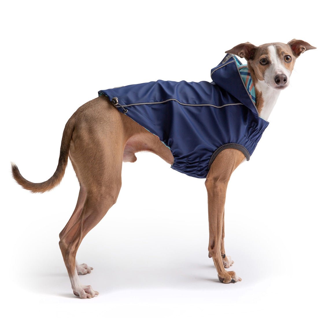 Reversible Dog Raincoat - Navy Dog Rain Jacket