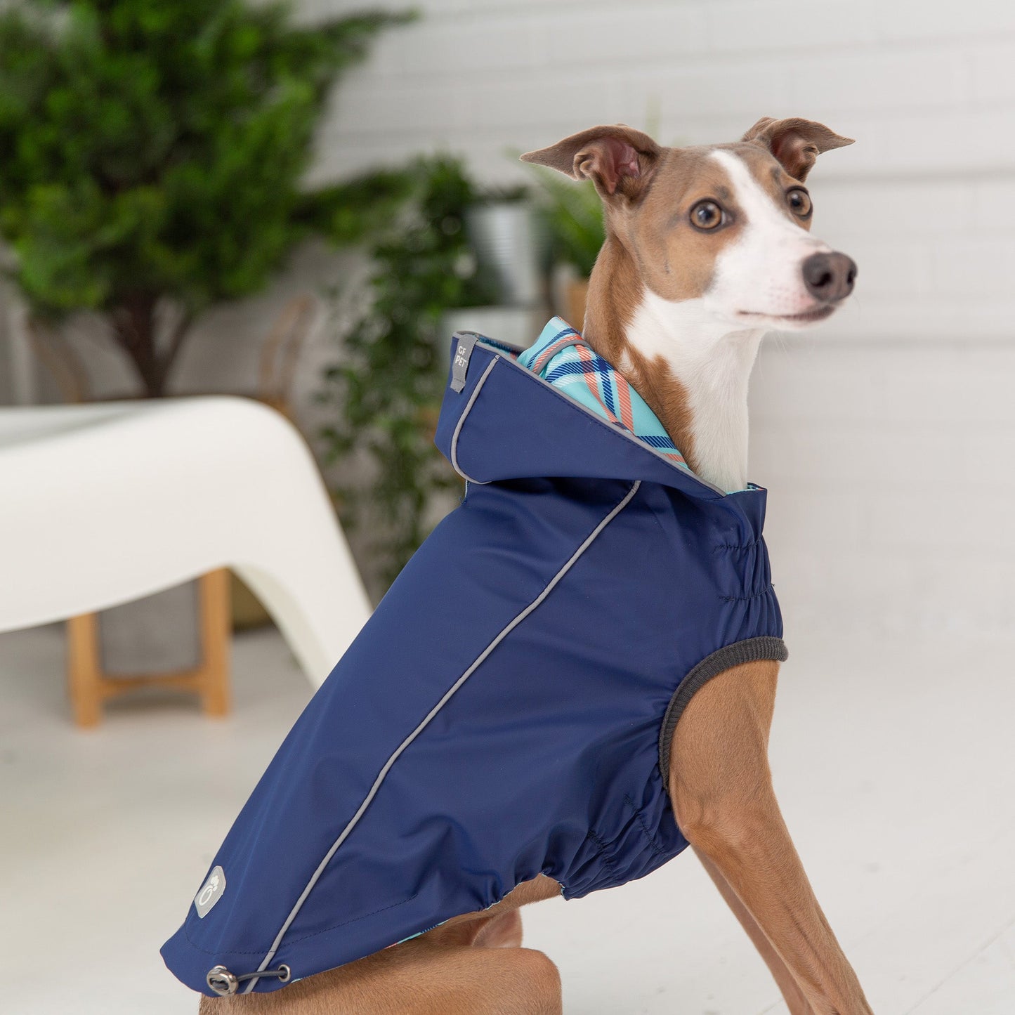 Reversible Dog Raincoat - Navy Dog Rain Jacket
