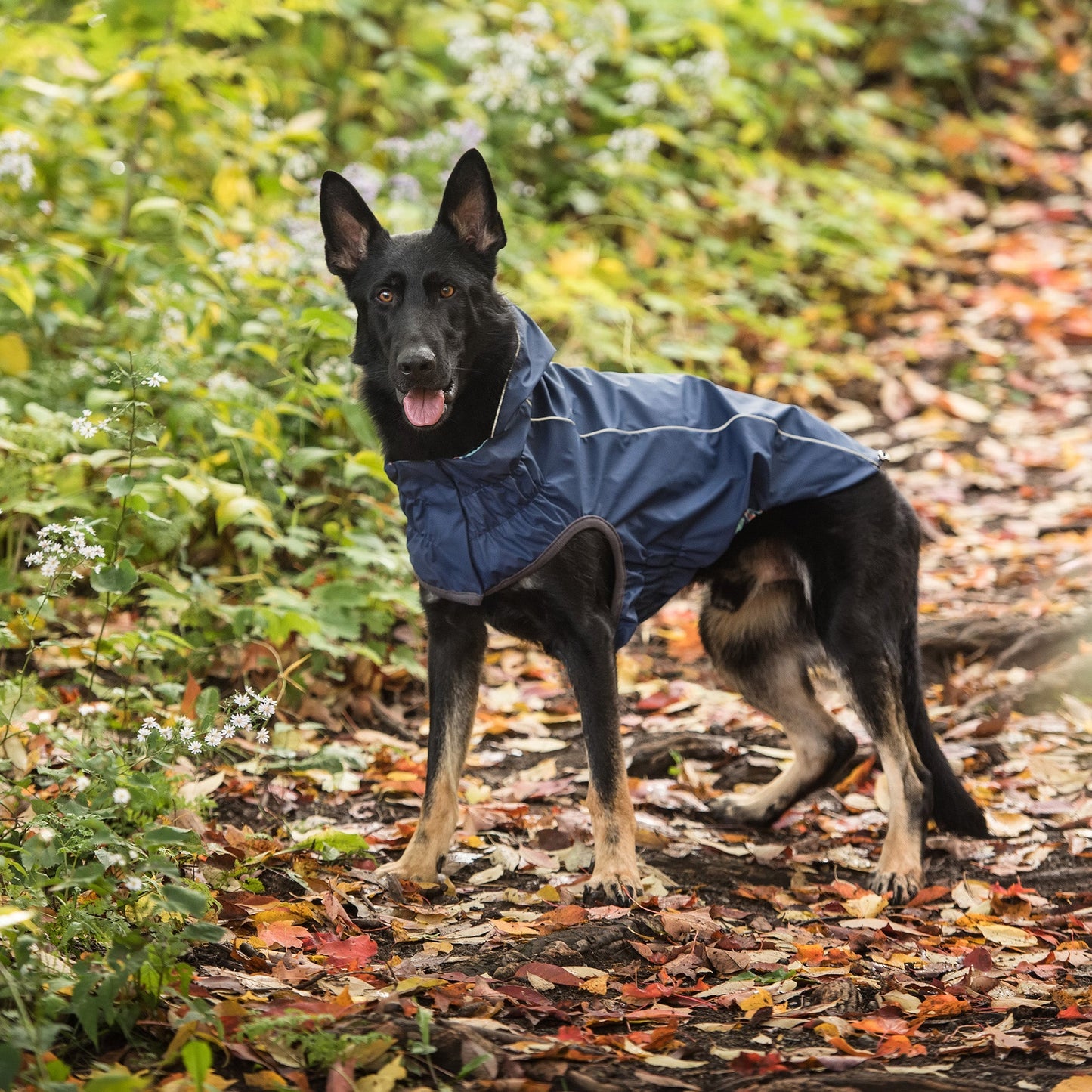 Reversible Dog Raincoat - Navy Dog Rain Jacket