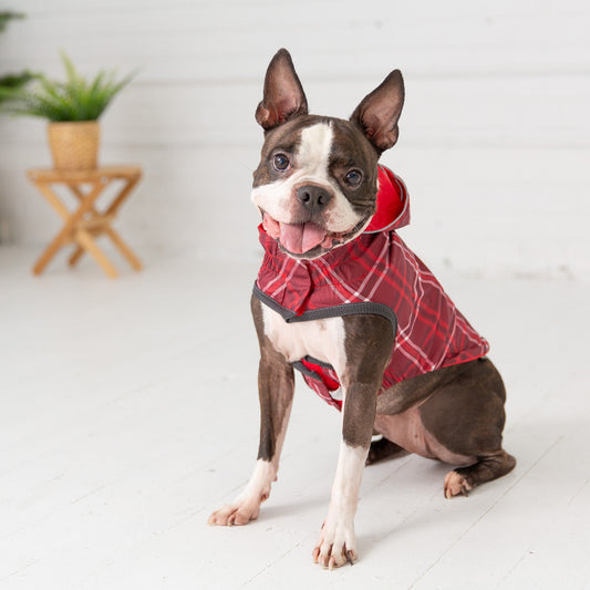Reversible Dog Raincoat - Red/Plaid Dog Rain Jacket with hood cute dog
