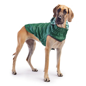 Reversible Dog Raincoat - Green/Cactus Dog Rain Jacket With Hood Great Dane