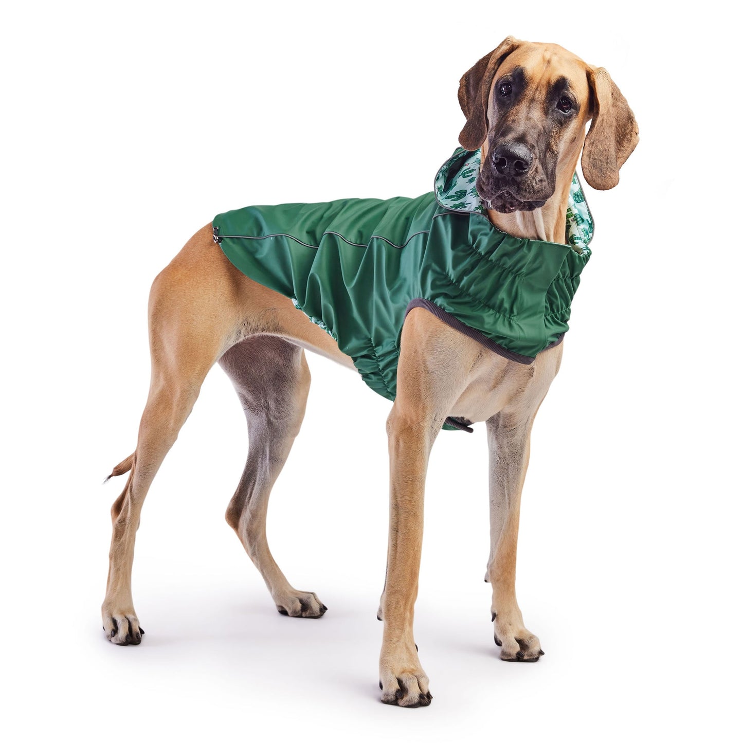 Reversible Dog Raincoat - Green/Cactus Dog Rain Jacket With Hood Great Dane