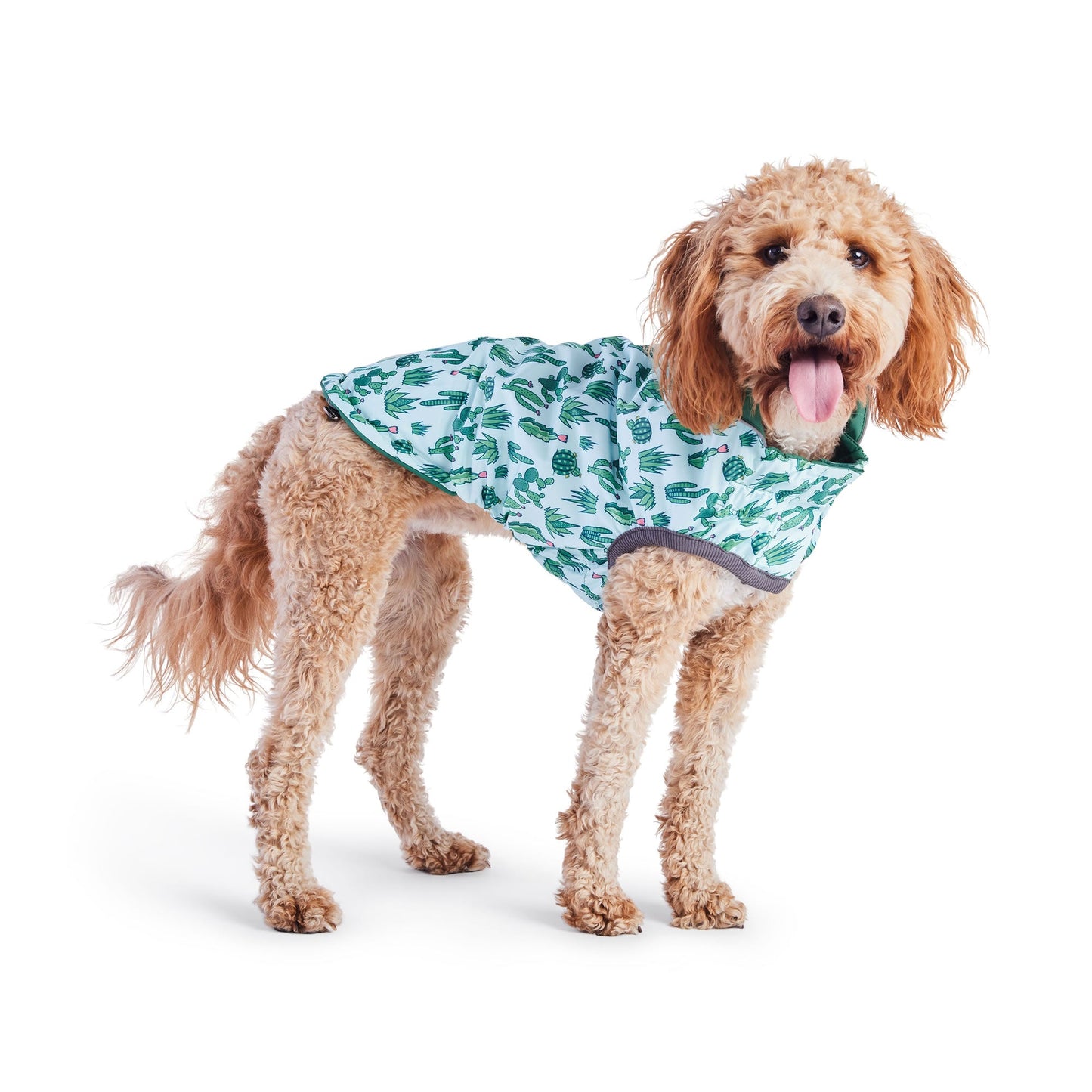 Reversible Dog Raincoat - Green/Cactus Dog Rain Jacket With Hood