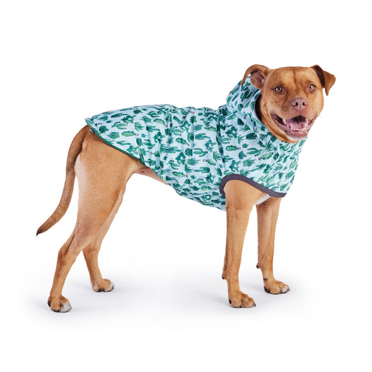Reversible Dog Raincoat - Green/Cactus Dog Rain Jacket With Hood