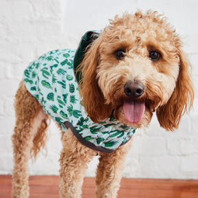 Reversible Dog Raincoat - Green/Cactus Dog Rain Jacket With Hood Doodle