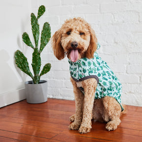 Reversible Dog Raincoat - Green/Cactus Dog Rain Jacket With Hood Golden Doodle