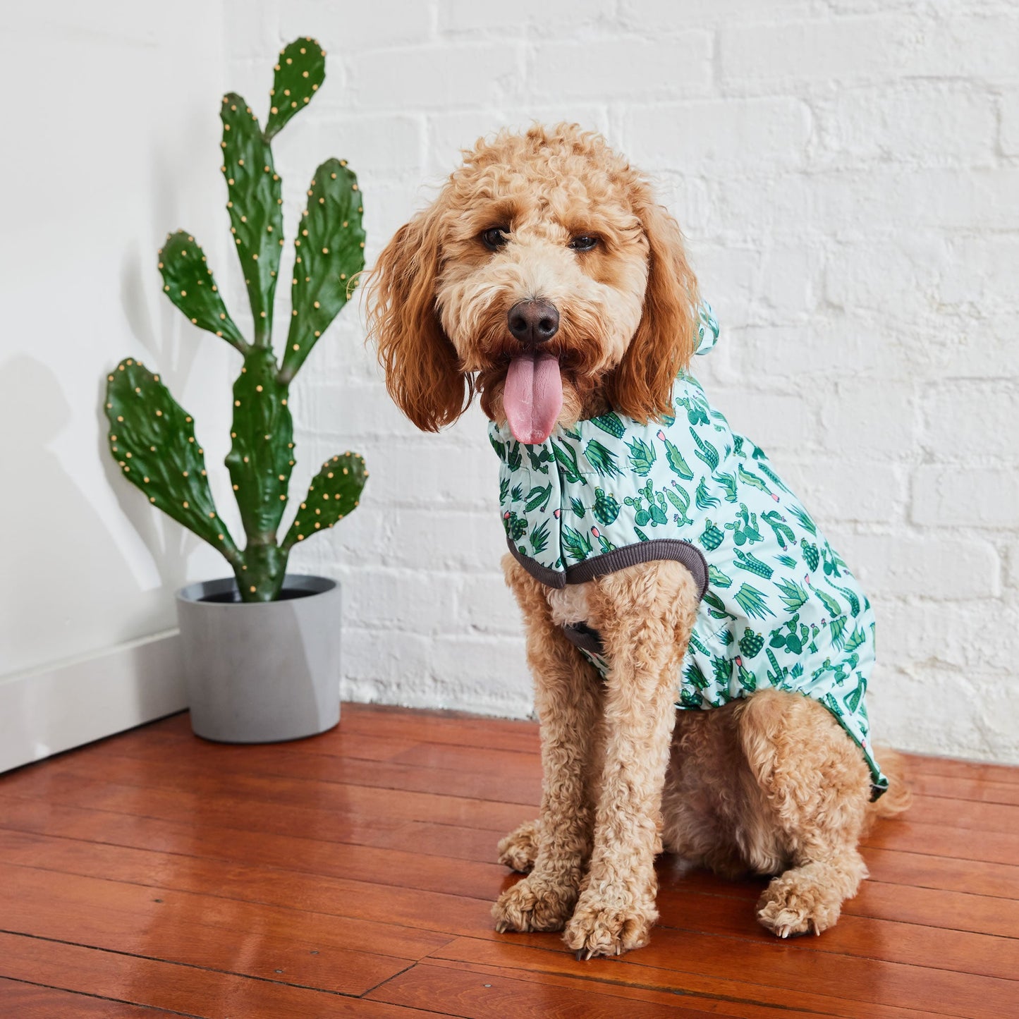 Reversible Dog Raincoat - Green/Cactus Dog Rain Jacket With Hood Golden Doodle