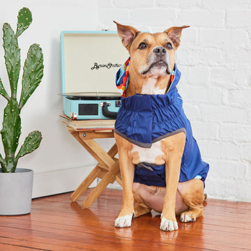 dog rain gear Reversible Elasto-Fit Raincoat