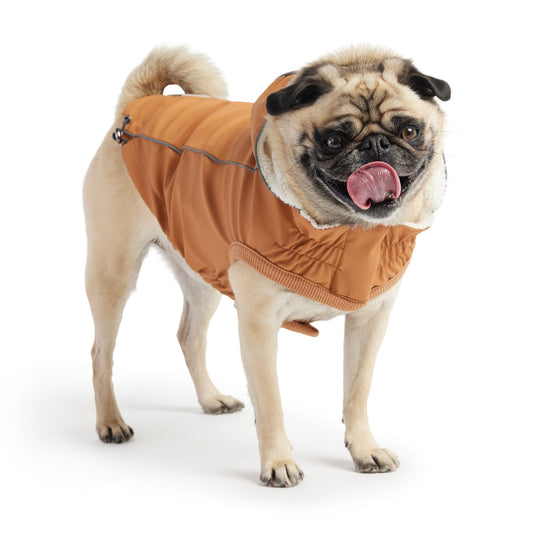 Insulated Waterproof Dog Winter Raincoat - Hazel Rain Jacket with hood sherpa lining warm cozy pug dog