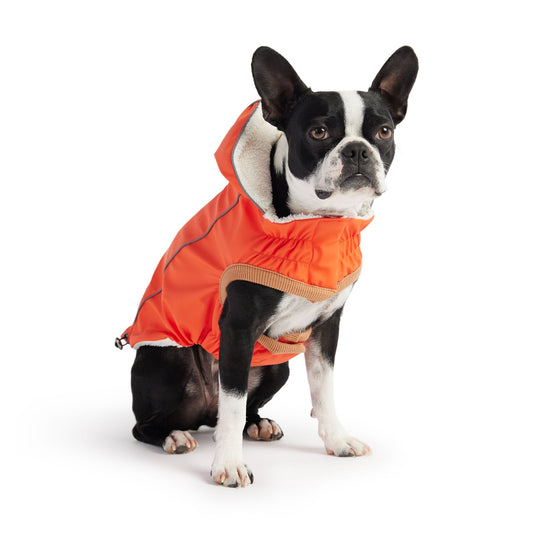 Insulated Waterproof Dog Winter Raincoat - Orange Rain Jacket