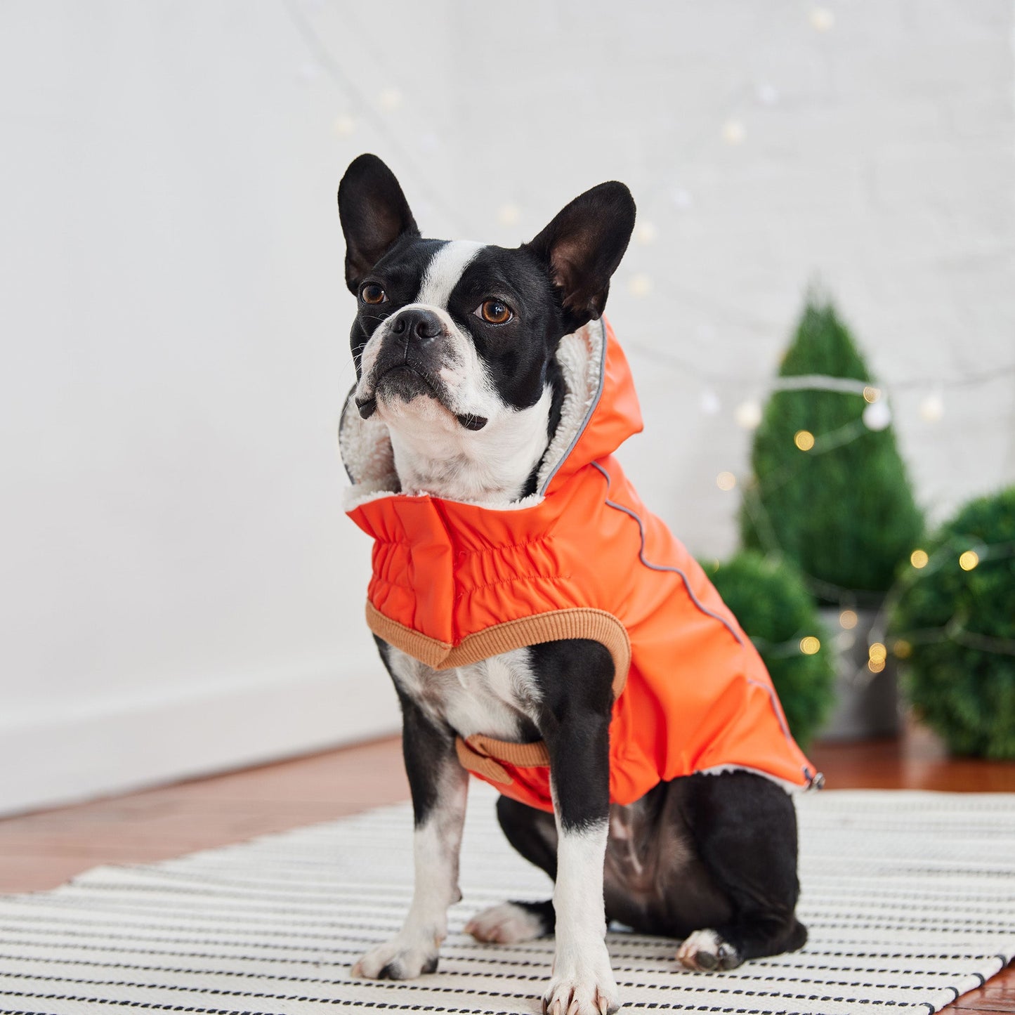 Raincoat Sotnos Dog Jumper DJANGO Highland Hooded Dog Jacket