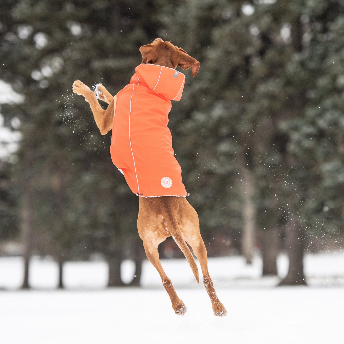 Insulated Waterproof Dog Winter Raincoat - Orange