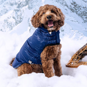 GF PET® Lunar Glow Dog Winter Parka – Sherpa Lined Pearl Finish Puffer Coat with Hood, Water-Repellent Elasto-Fit® Adjustable Fit Jacket for Small, Medium & Large Dogs – Stylish Jewel Tone Dog Apparel golden doodle