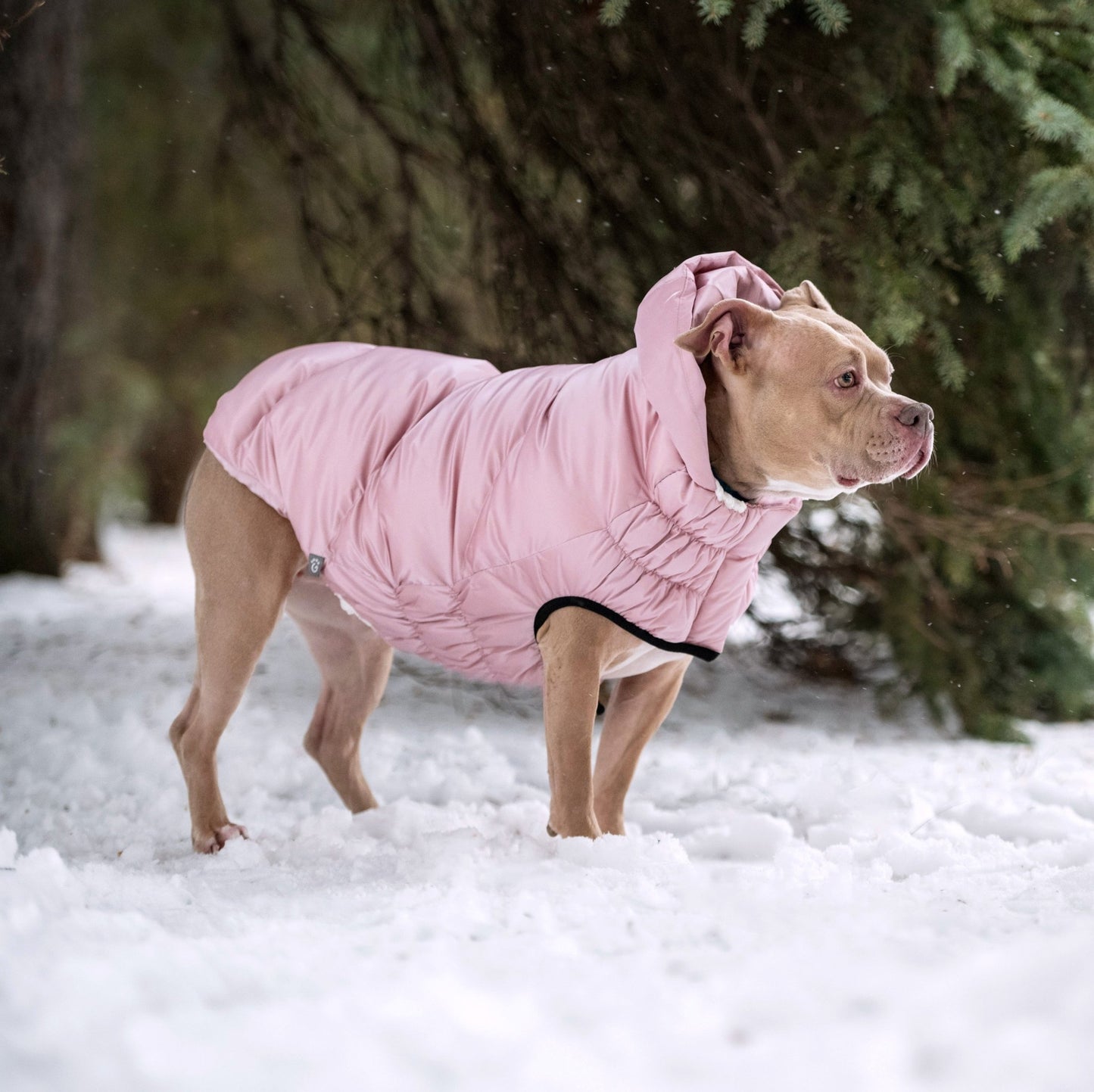 GF PET® Lunar Glow Dog Winter Parka – Sherpa Lined Pearl Finish Puffer Coat with Hood, Water-Repellent Elasto-Fit® Adjustable Fit Jacket for Small, Medium & Large Dogs – Stylish Jewel Tone Dog Apparel