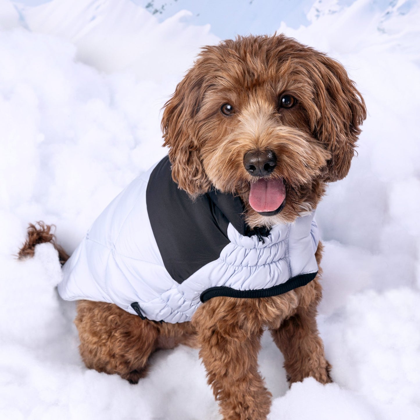 Diamond Puffer Winter Dog Puffer Coat