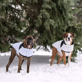 dog winter puffer coats on boxer dogs in the snow