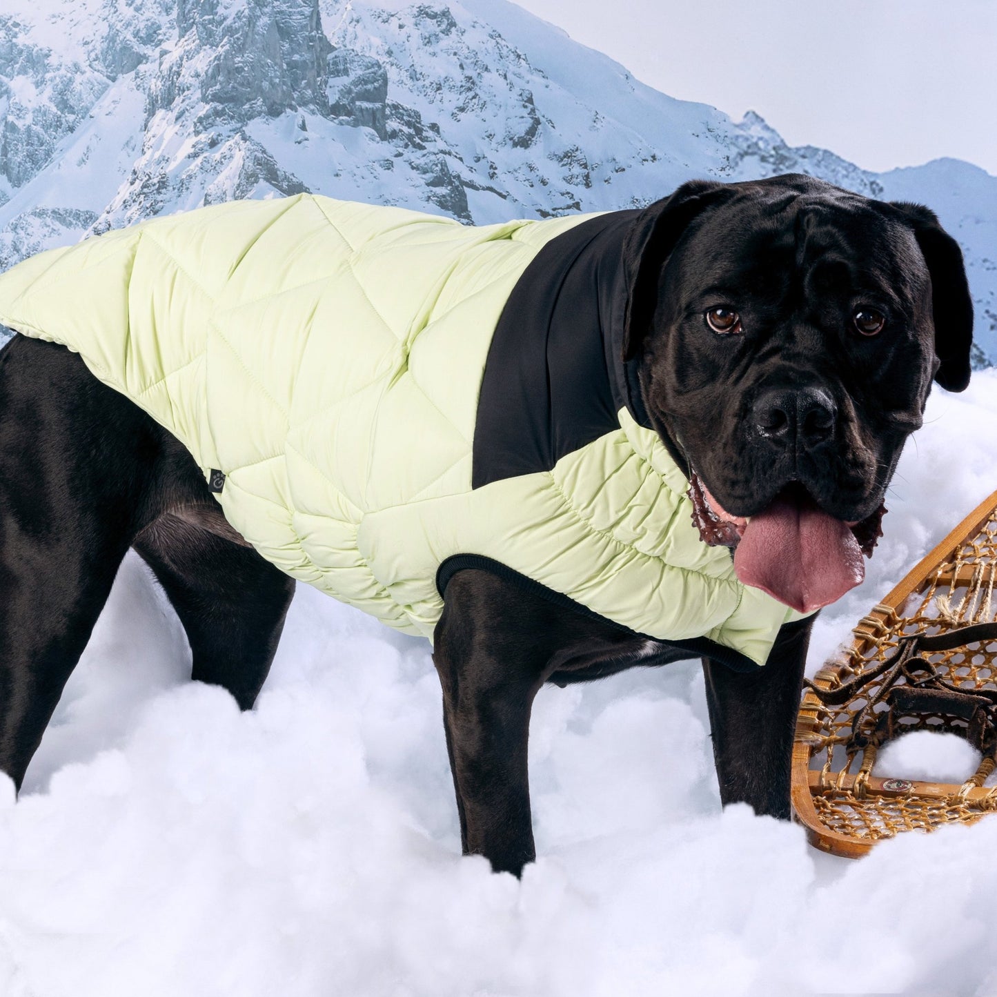 Diamond Puffer Winter Dog Puffer Coat
