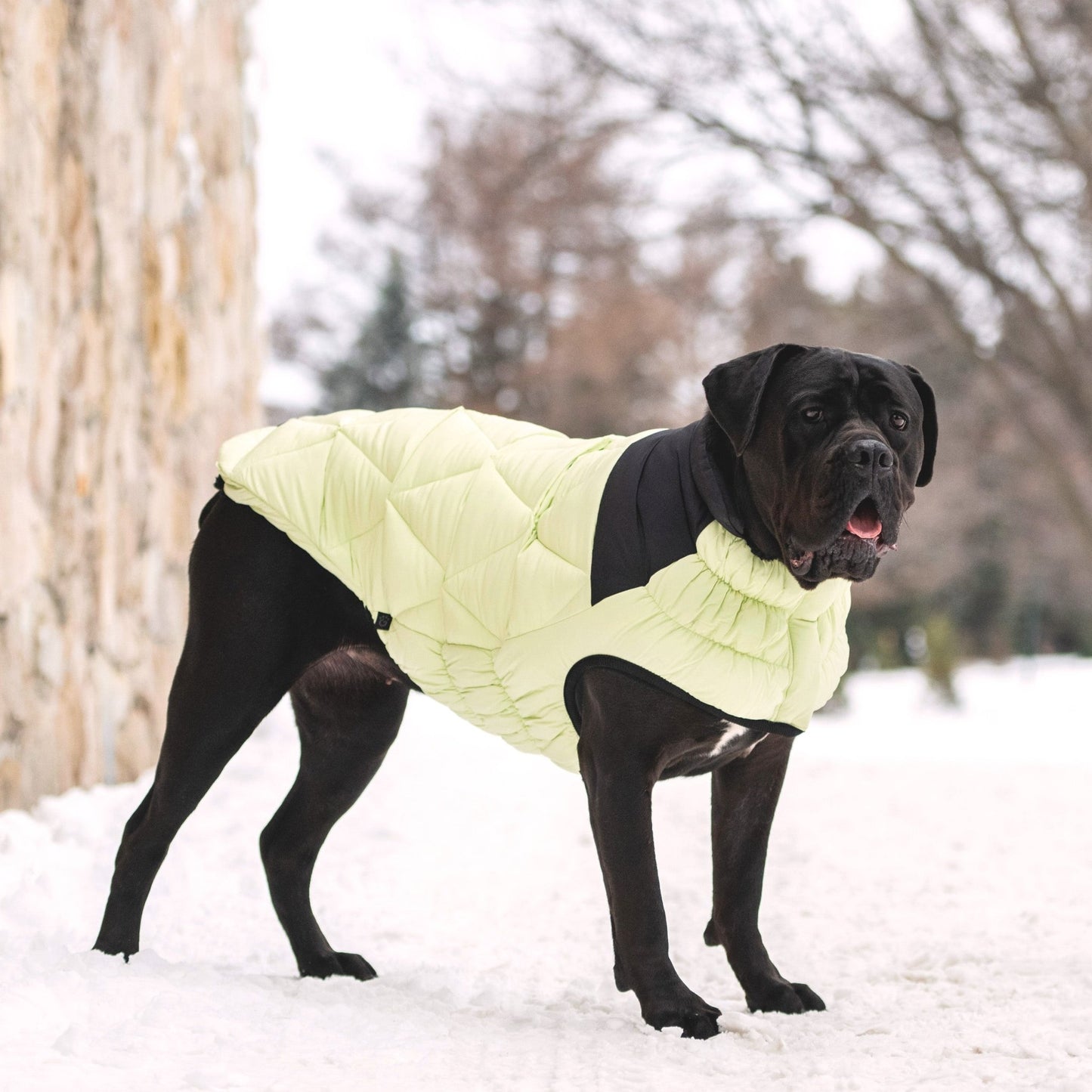 Diamond Puffer Winter Dog Puffer Coat