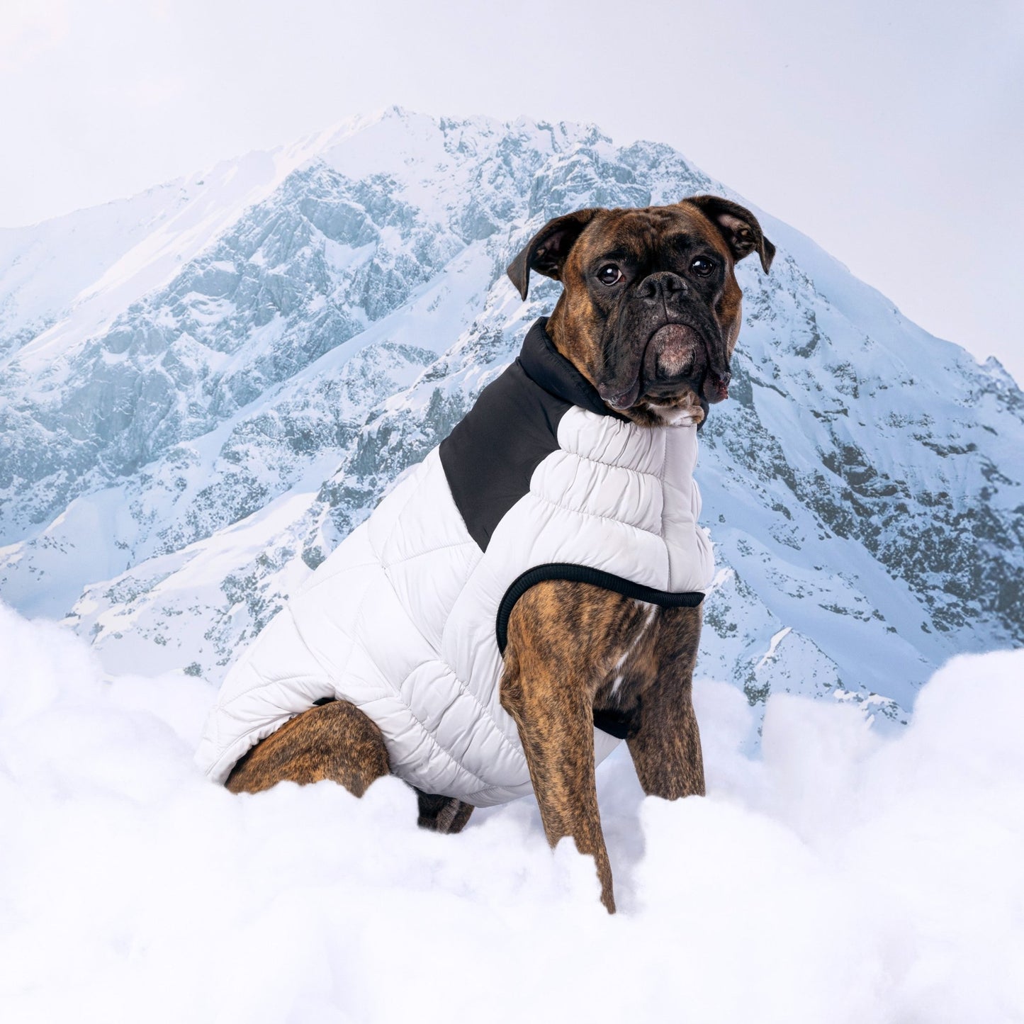 Diamond Puffer Winter Dog Puffer Coat