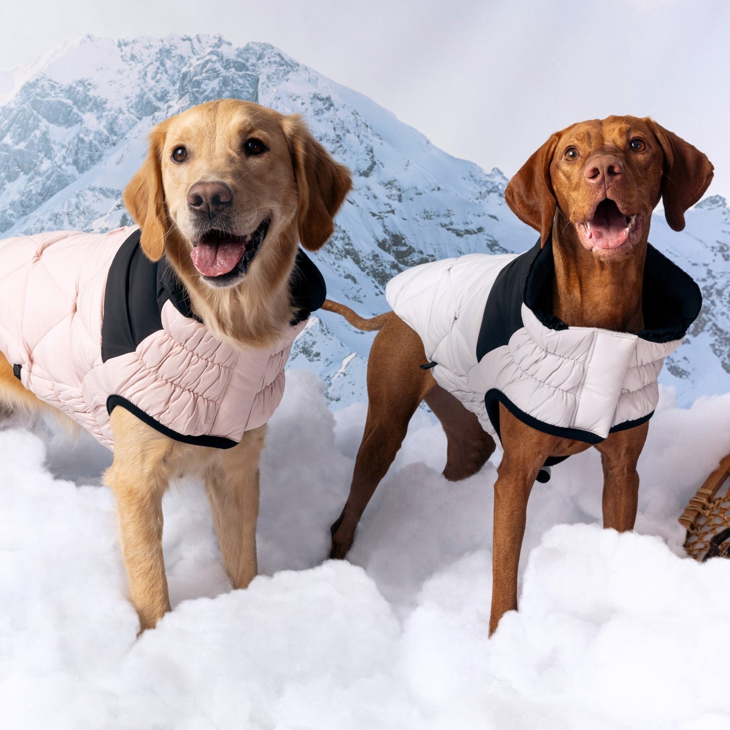 Diamond Puffer Winter Dog Puffer Coat