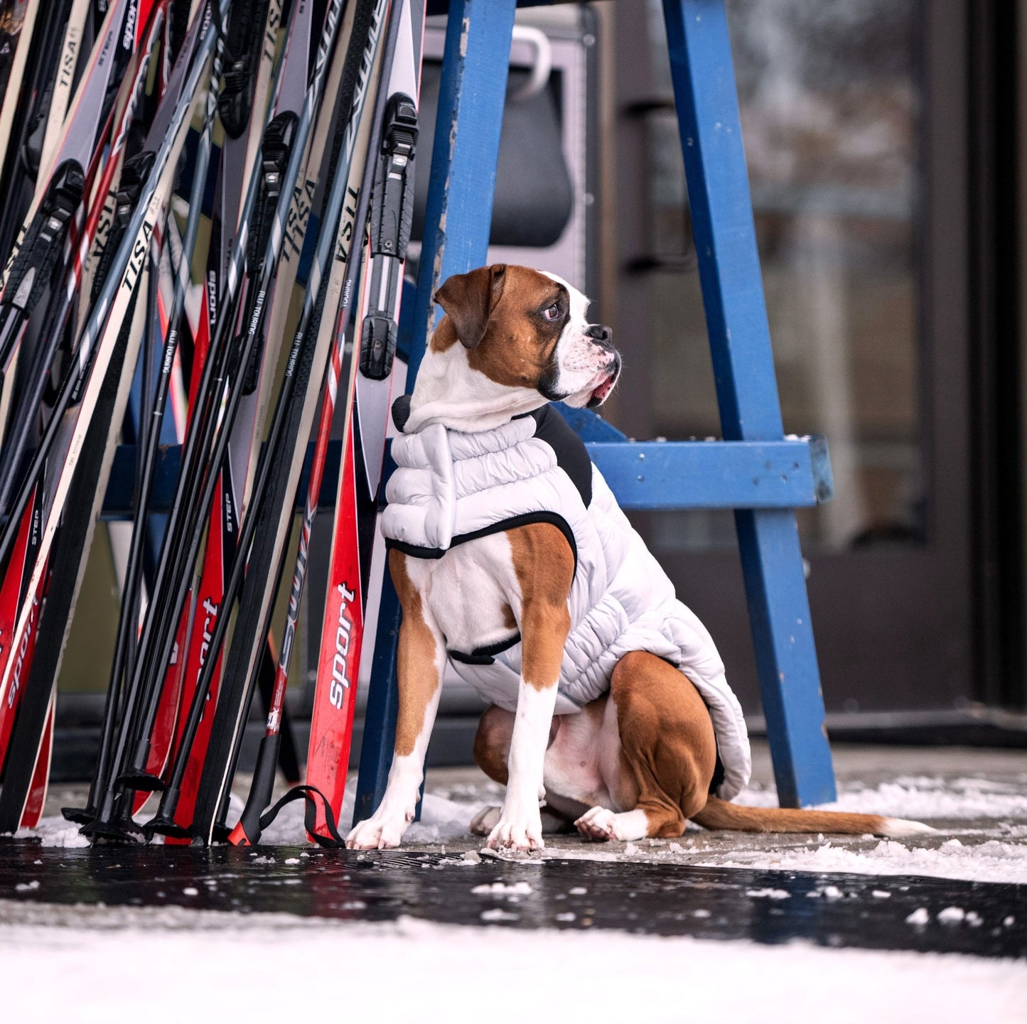 Diamond Puffer Winter Dog Puffer Coat