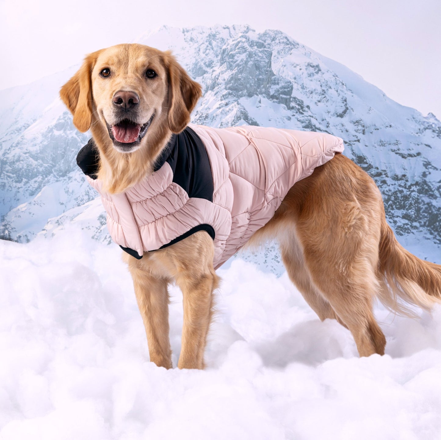 Diamond Puffer Winter Dog Puffer Coat