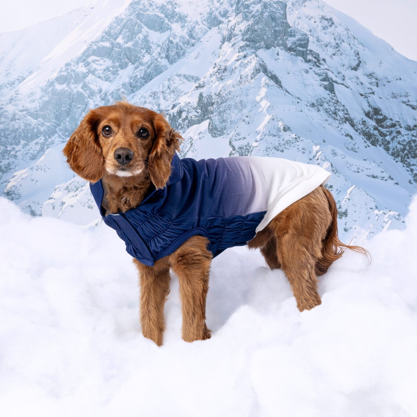 Good Vibes Dog Hoodie | Stretch Fit Dog Hoodies