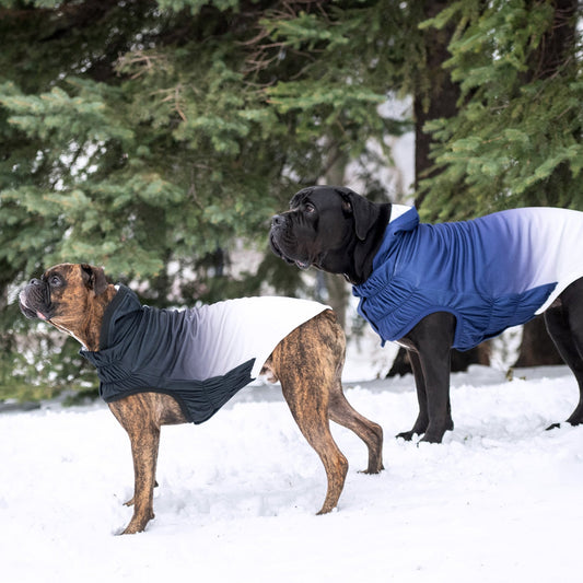 Good Vibes Dog Hoodie | Stretch Fit Dog Hoodies