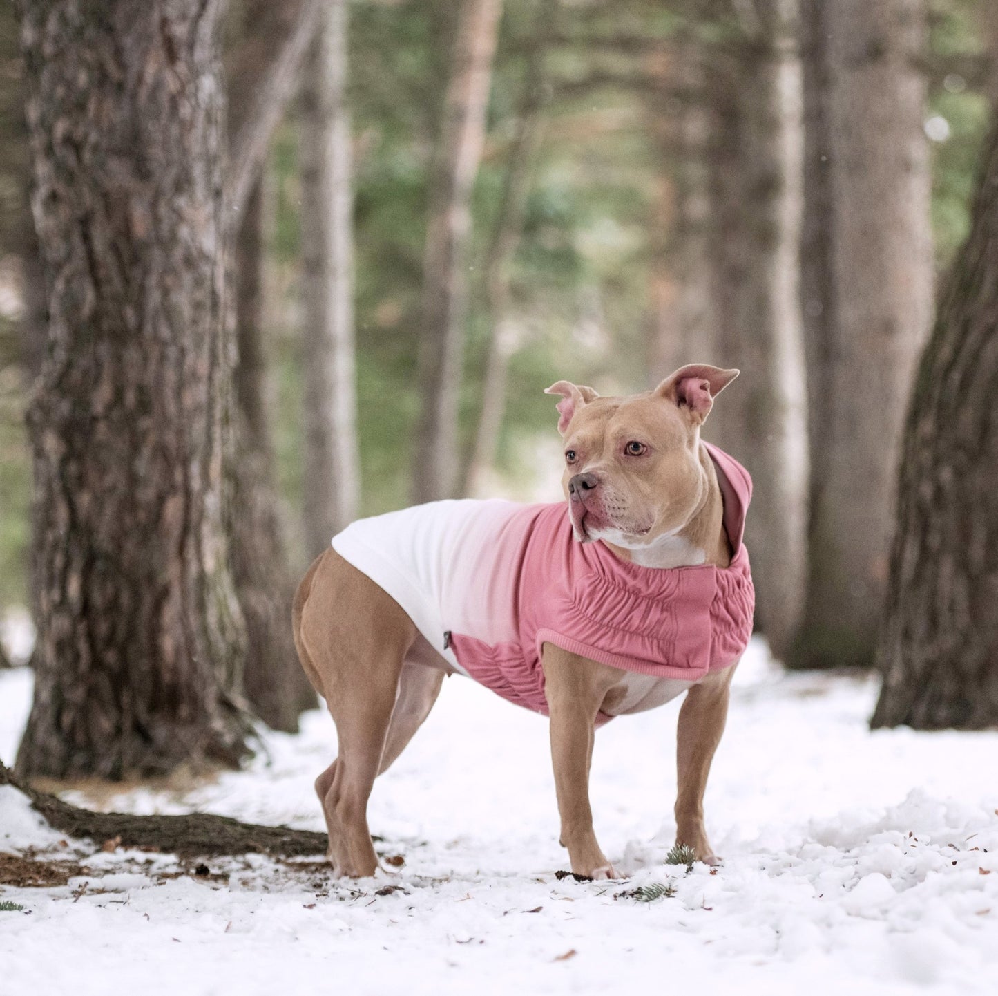 Good Vibes Dog Hoodie | Stretch Fit Dog Hoodies