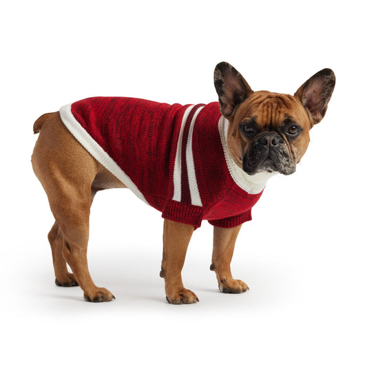 Trekking Dog Sweater Multi-Knit Winter Dog Sweater - Red and white stripe french bulldog