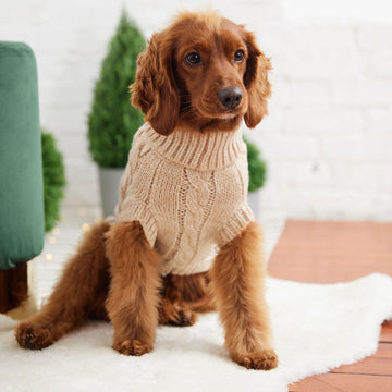 Cable Knit Dog Sweater Oatmeal – Chunky Winter Dog Turtleneck – The Dog  Outdoors
