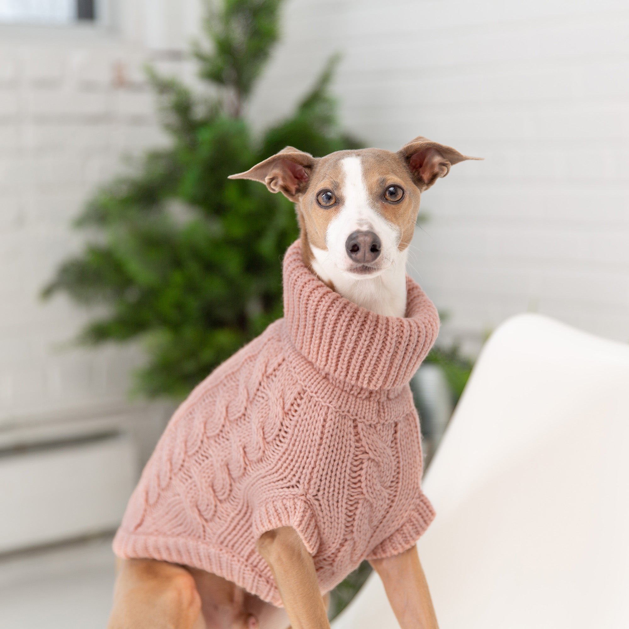 Cable Knit Dog Sweater Pink – Chunky Winter Dog Turtleneck – The