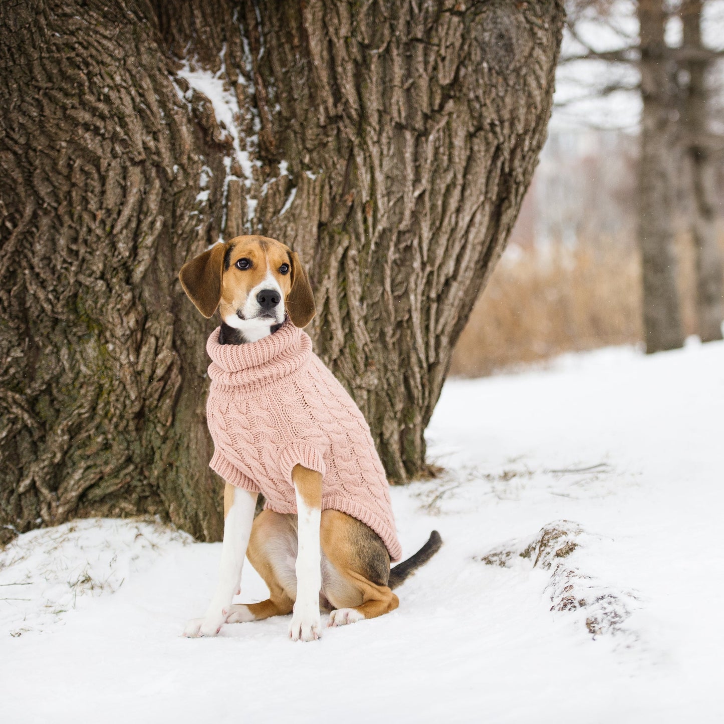 Cable Knit Dog Sweater Pink – Chunky Winter Dog Turtleneck – The
