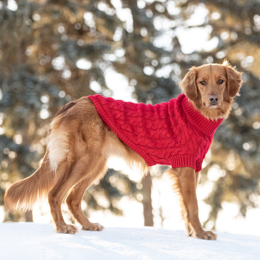 Cable Knit Dog Sweater Red – Chunky Winter Dog Turtleneck dog in the snow large dog sweaters