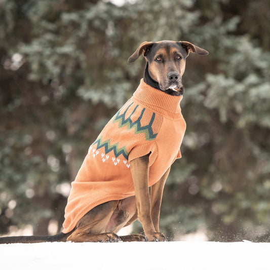 Heritage Fair Isle Dog Sweater – Retro Nordic Hazel teal orange green white accents scandinavian ski sweater Knit Winter Dog Sweaters large dog in the snow